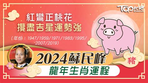 2024年生肖運程豬